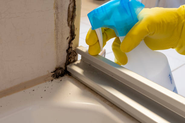 Port Oconnor, TX Mold Remediation Company